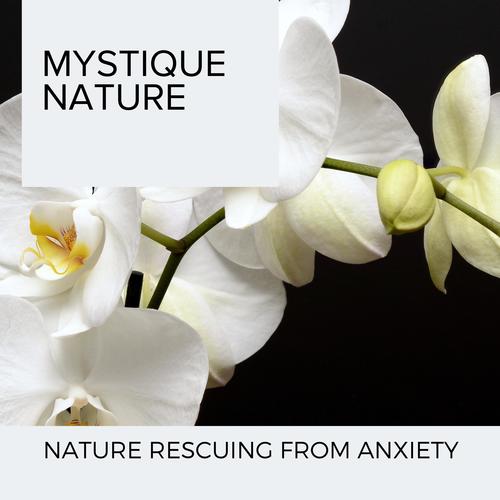 Mystique Nature - Nature Rescuing From Anxiety