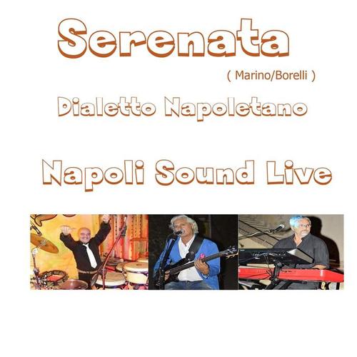 Serenata (Dialetto napoletano)