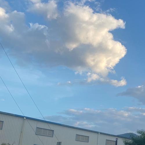 原创