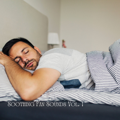 Baby Sleep: Soothing Fan Sounds Vol. 1