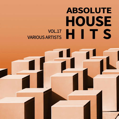 Various Artists - Absolute House Hits Vol.17