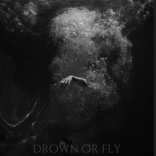 Drown Or Fly (Explicit)