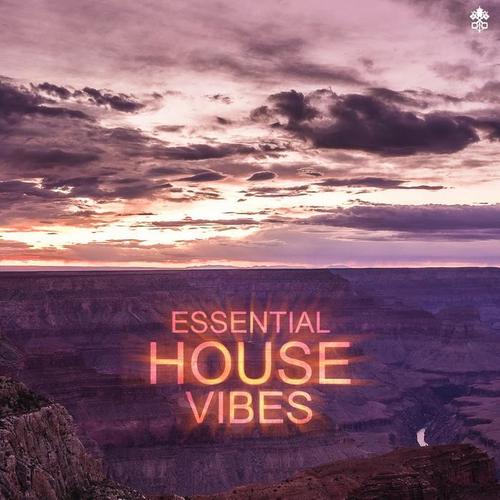 Essential House Vibes