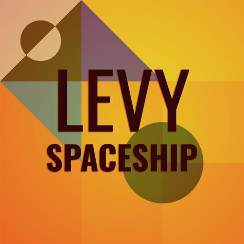 Levy Spaceship