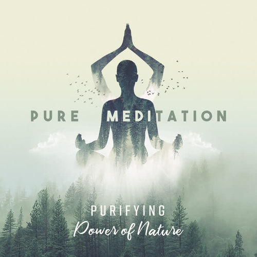 Pure Meditation: Purifying Power of Nature