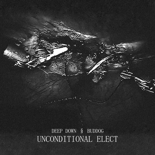 unconditional elect (feat. Buddog) [Explicit]