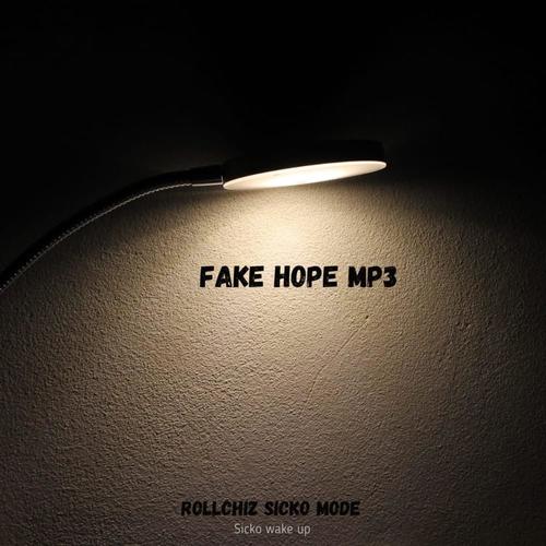 Fake hope (feat. Livecity) [Explicit]