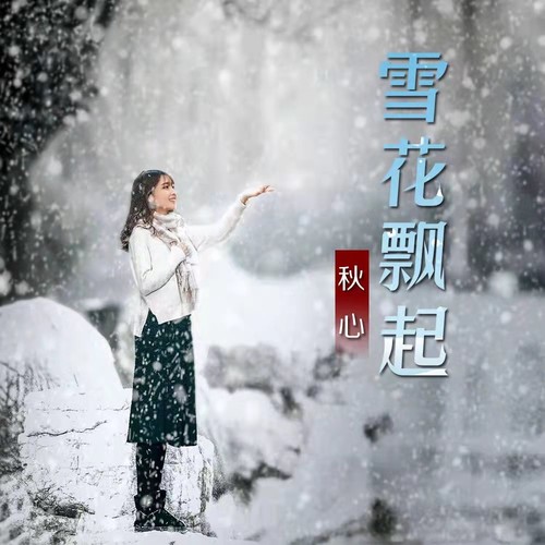 雪花飘起