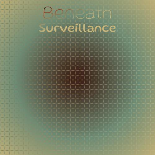 Beneath Surveillance