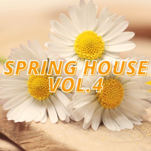 Spring House Vol.4