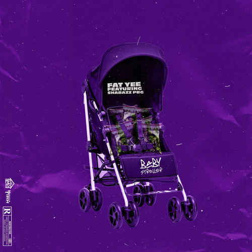 Baby Stroller (Explicit)