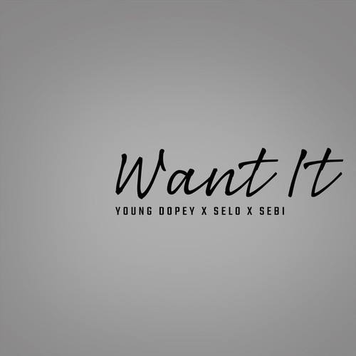 Want It (Explicit)