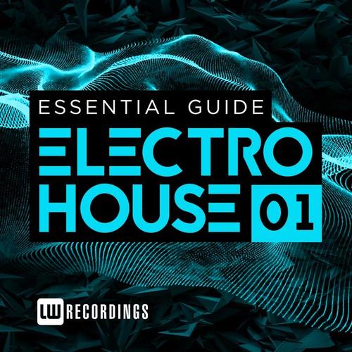 Essential Guide: Electro House, Vol. 1