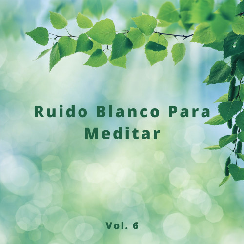 Ruido Blanco Para Meditar, Vol. 6 (El Ruido Blanco Zen y Los Sonidos De La Meditación)