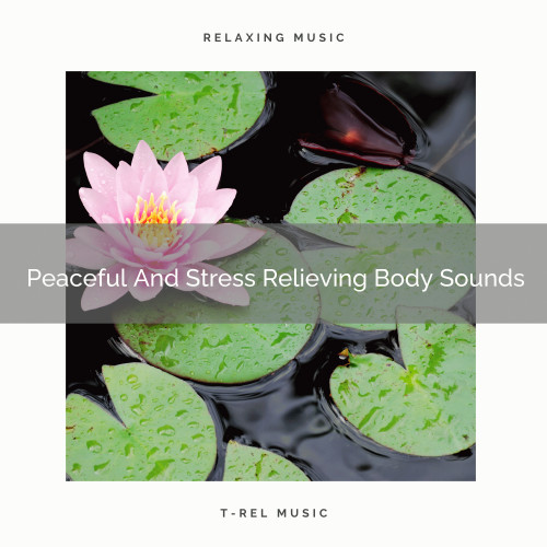 Peaceful And Stress Relieving Body Sounds