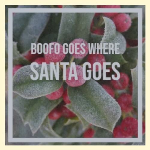 Boofo Goes Where Santa Goes