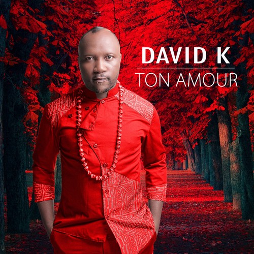 Ton Amour (official song)