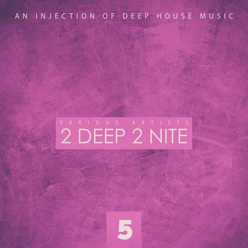 2 Deep 2 Nite, Vol. 5