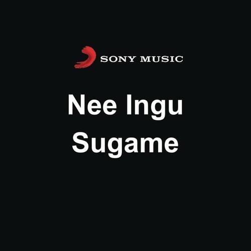 Nee Ingu Sugame (Original Motion Picture Soundtrack)