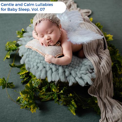 Gentle And Calm Lullabies For Baby Sleep, Vol. 07