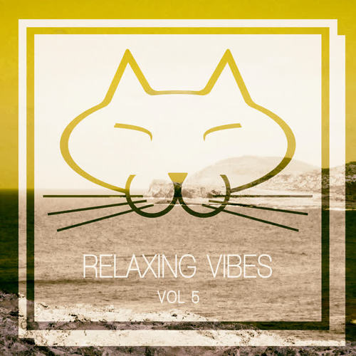 Relaxing Vibes, Vol. 5