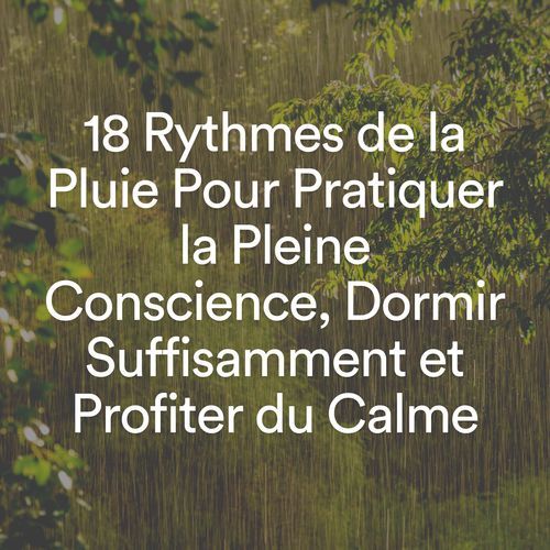 18 Rythmes de la Pluie Pour Pratiquer la Pleine Conscience, Dormir Suffisamment et Profiter du Calme