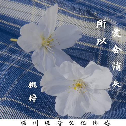 所以爱会消失