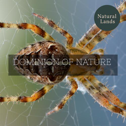 Dominion of Nature