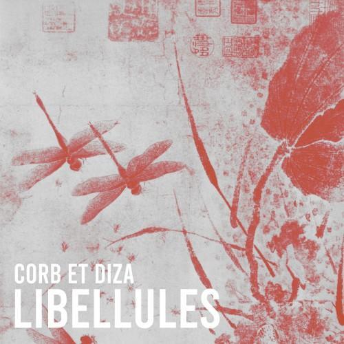 Libellules
