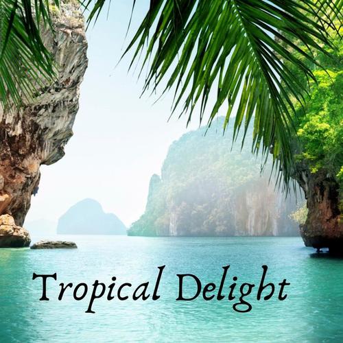 Tropical Delight