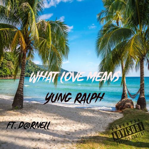 WHAT LOVE MEANS (feat. D@rnell) [Explicit]