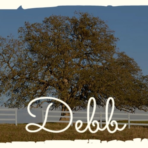 Debb