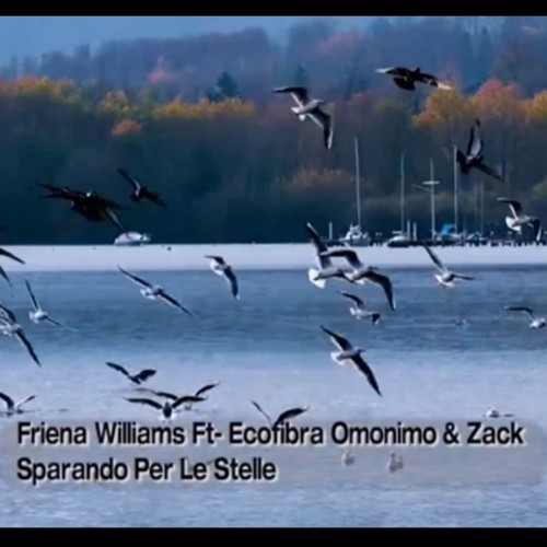 Sparando per le stelle (feat. Ecofibra, omonimo & Zack.)