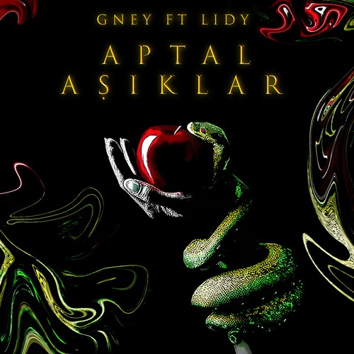 APTAL AŞIKLAR (feat. lLidy)