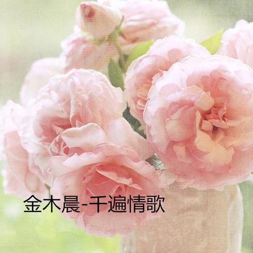 千遍情歌