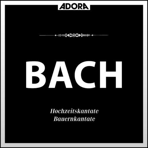 Bach: Hochzeitskantate No. 202, Bauernkantate No. 212