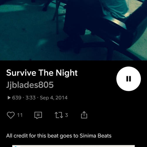 Survive the Night (My First Song)