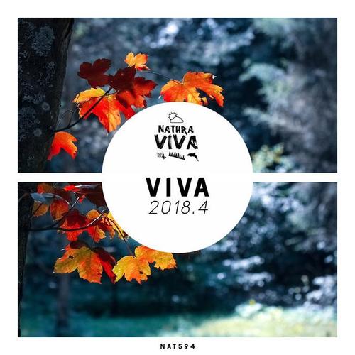 Viva 2018.4