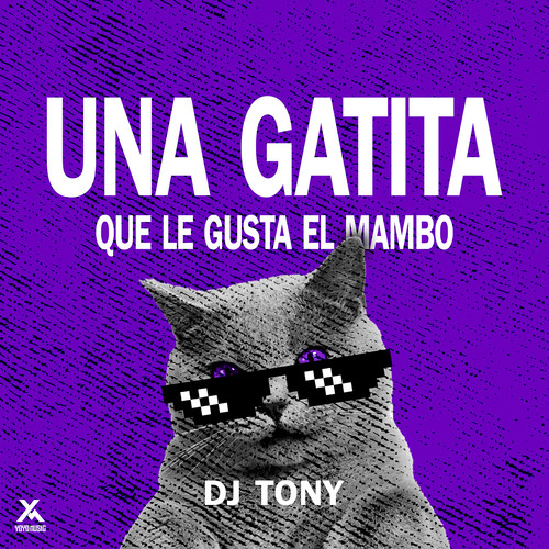 Una Gatita Que Le Gusta El Mambo (Explicit)