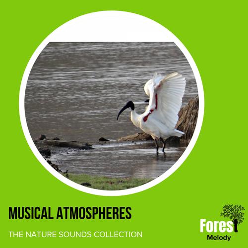 Musical Atmospheres - The Nature Sounds Collection