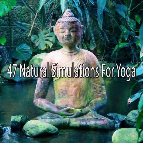 47 Natural Simulations For Yoga