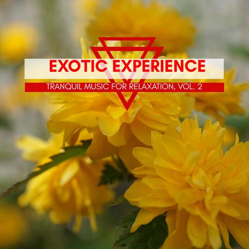 Exotic Experience - Tranquil Music For Relaxation, Vol. 2