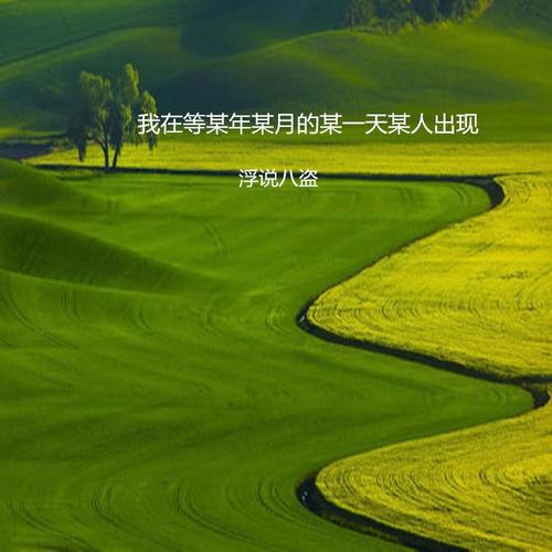 我在等某年某月的某一天某人出现