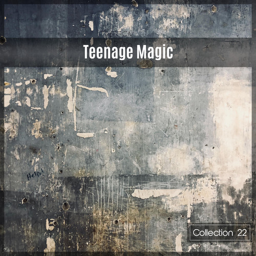 Teenage Magic Collection 22