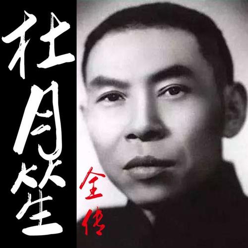 杜月笙全传(完结)