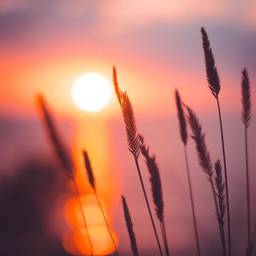 心灵抚慰 自然之音疗愈体验轻音乐（Soul Soothing Nature's Harmony Healing）