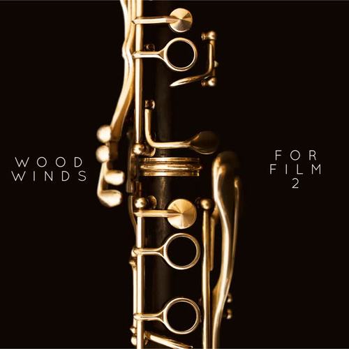 Woodwinds for Film 2