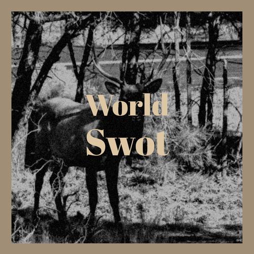 World Swot