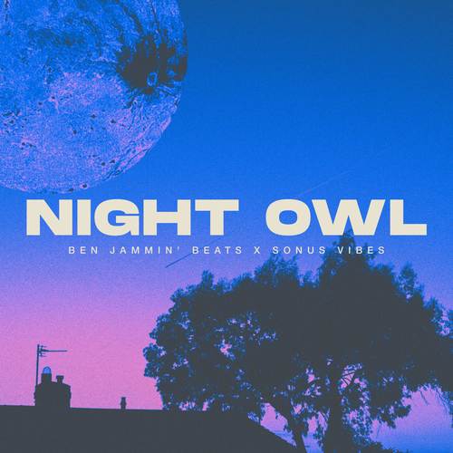 Night Owl