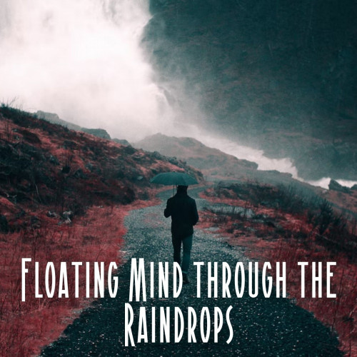 Floating Mind through the Raindrops